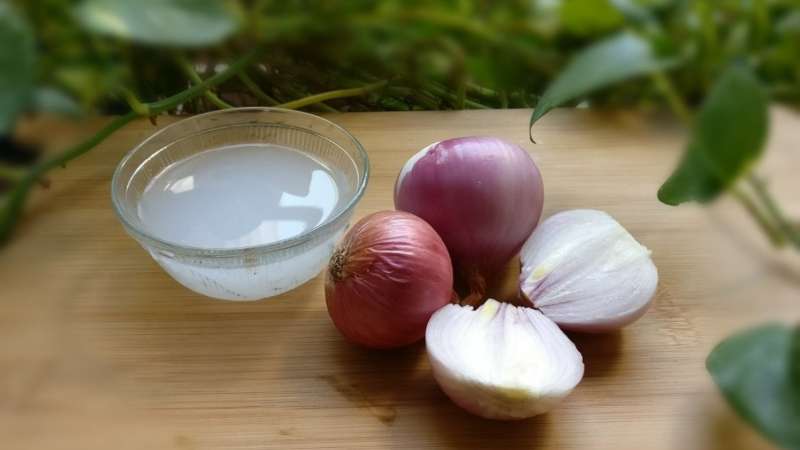 পেঁয়াজ রস