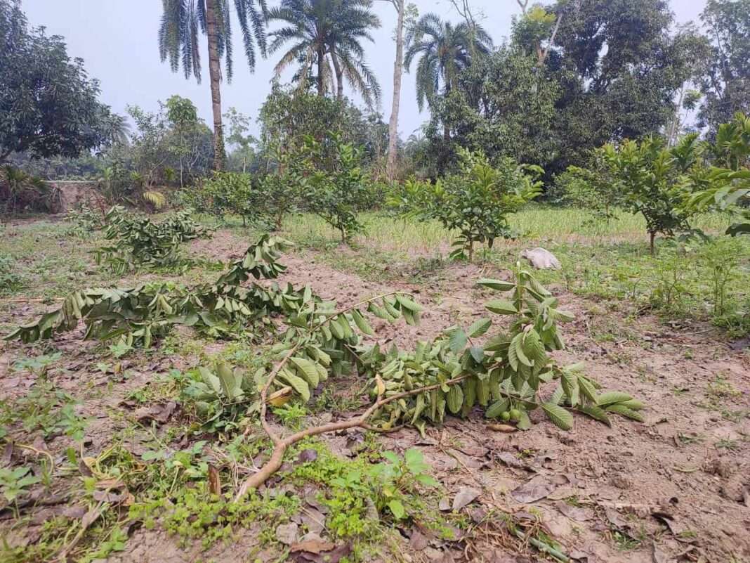 received_24730617863248380