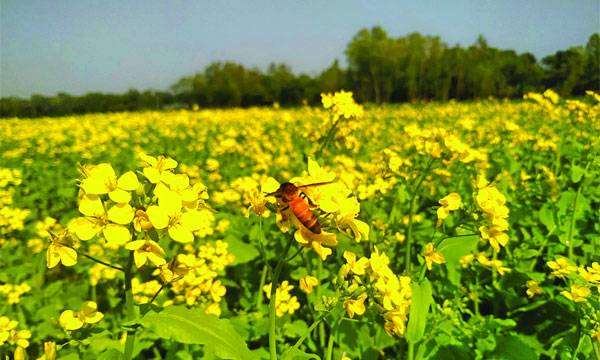 received_922543769511490