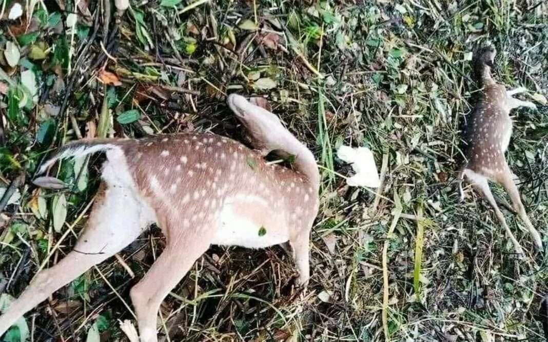 received_457644100143150