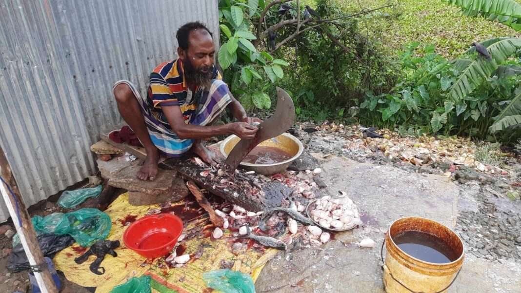 received_441654158511227