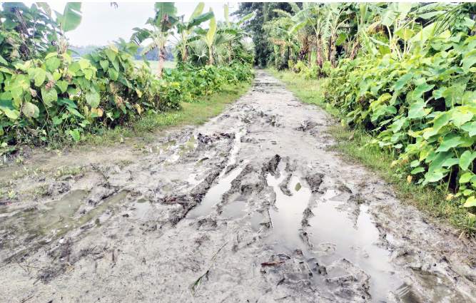 ৫৫৫ কিলোমিটার কাঁচা সড়ক