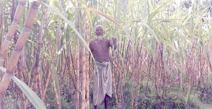 খুশি কৃষক