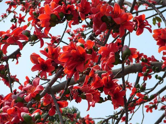 Messenger_creation_595715076630888