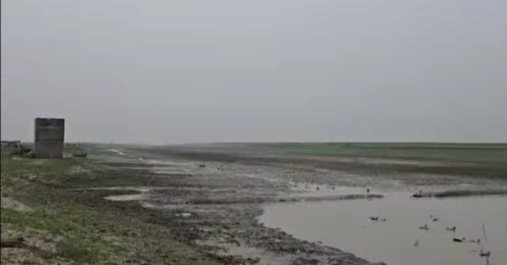 বৈটাখালী নদী শুকিয়ে