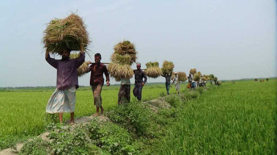 received_1237752474579129