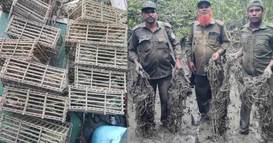 হরিণ শিকারের ফাঁদ উদ্ধার