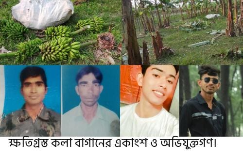 IMG-20260214-WA0051(1)